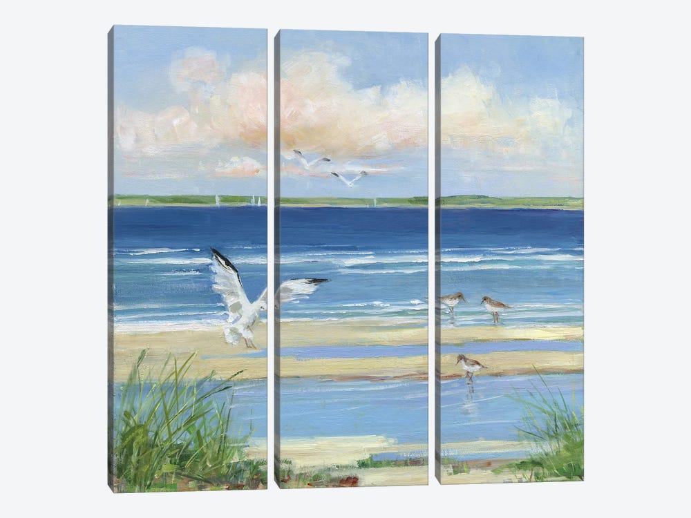 Beach Combing I by Sally Swatland 3-piece Canvas Artwork