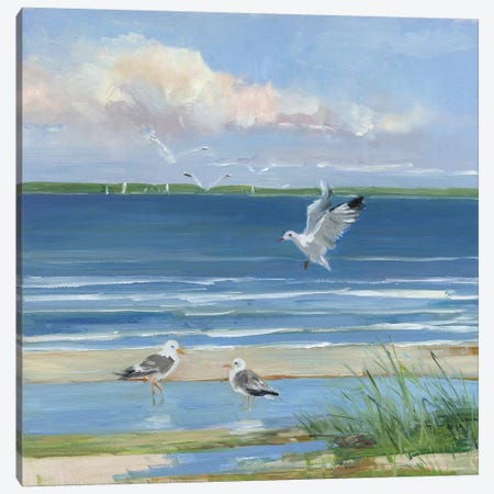 Beach Combing II Canvas Print #SWA205} by Sally Swatland Canvas Wall Art