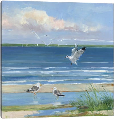 Beach Combing II Canvas Art Print - Gull & Seagull Art