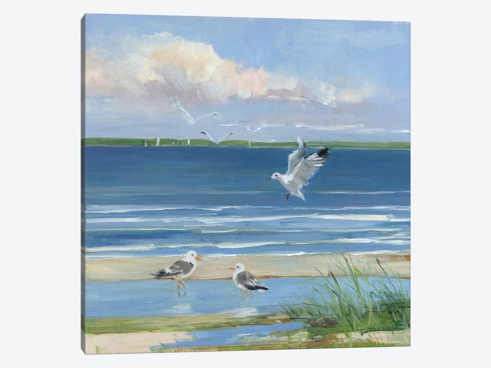 Beach Combing II by Sally Swatland 1-piece Canvas Art Print