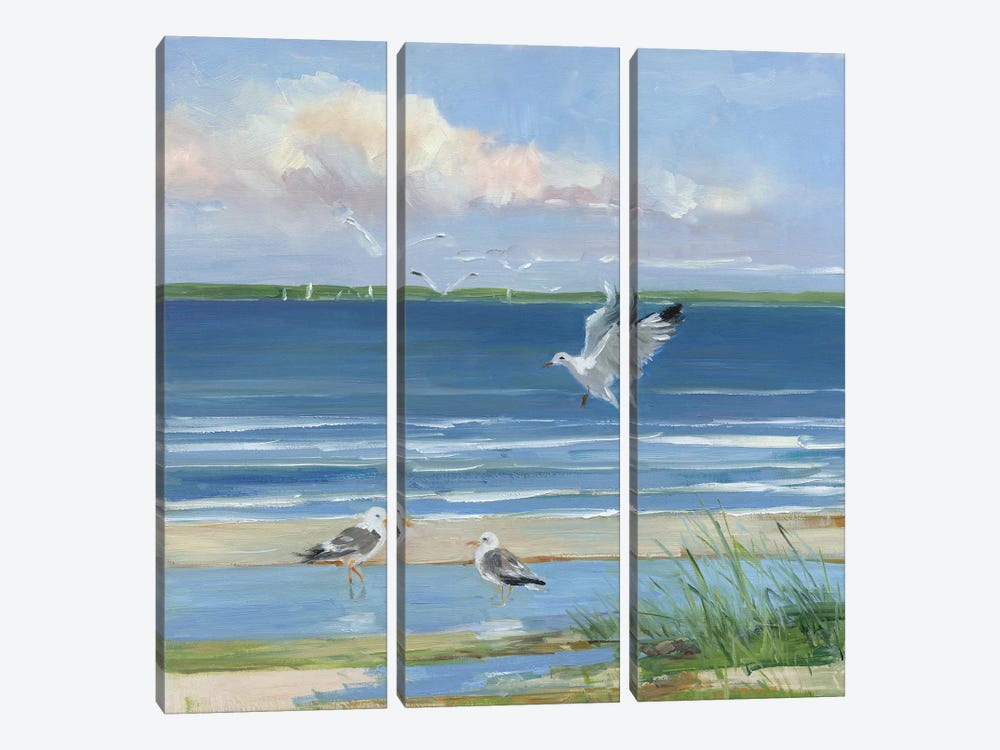 Beach Combing II by Sally Swatland 3-piece Canvas Art Print