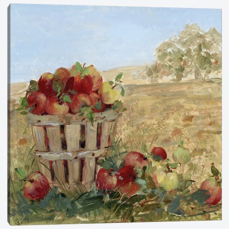 Apple Picking III Canvas Print #SWA20} by Sally Swatland Canvas Art