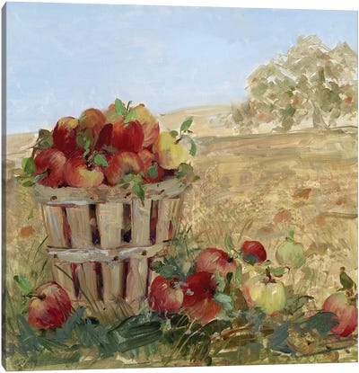 Apple Picking III Canvas Art Print - Apple Trees