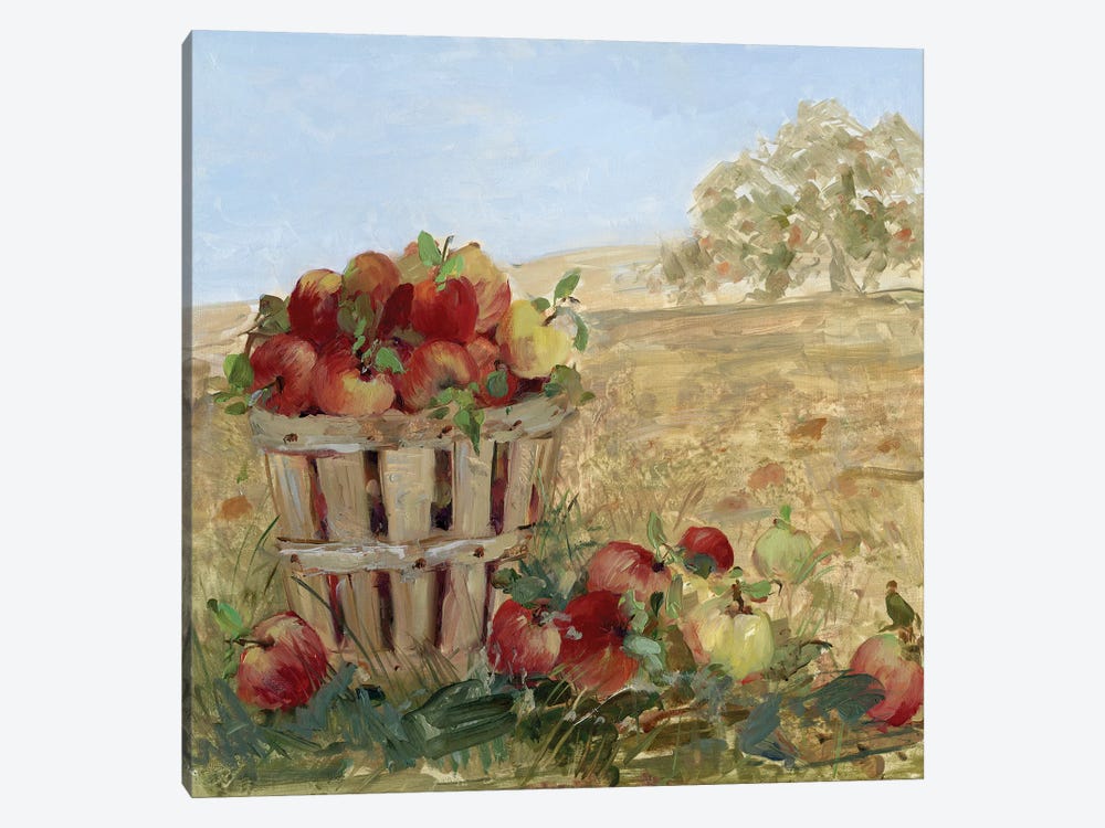 Apple Picking III by Sally Swatland 1-piece Canvas Print