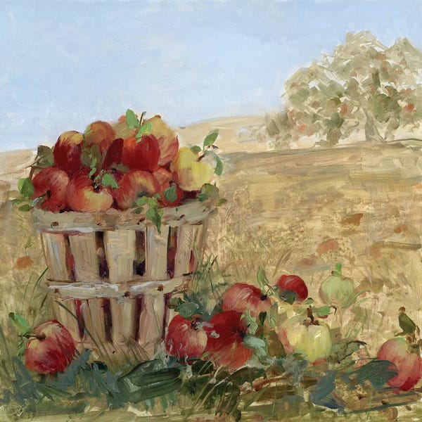 Gardening: Apple Picking III by Sally Swatland