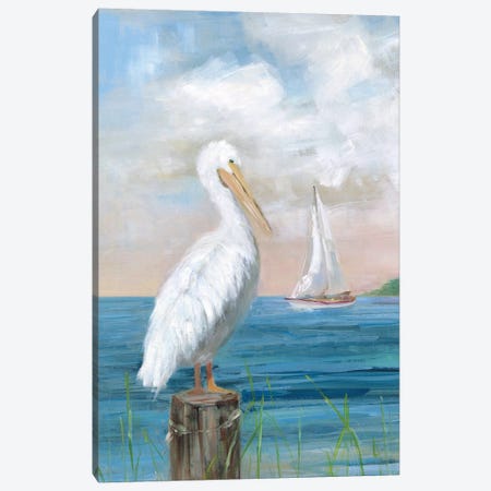 Pelican View I Canvas Print #SWA223} by Sally Swatland Canvas Art Print