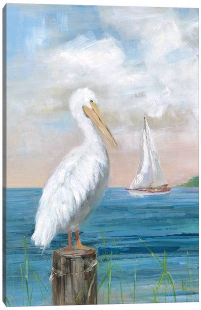 Pelican View I Canvas Art Print - Pelican Art