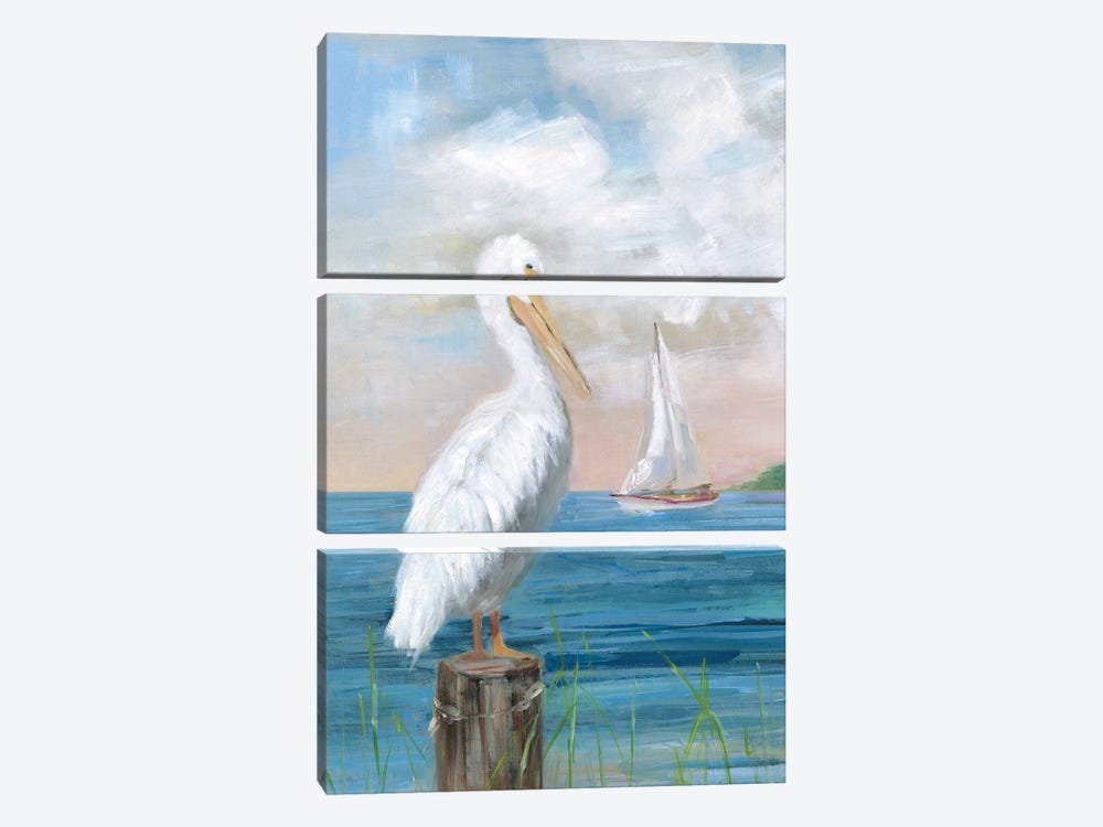 Pelican View I by Sally Swatland 3-piece Canvas Art Print