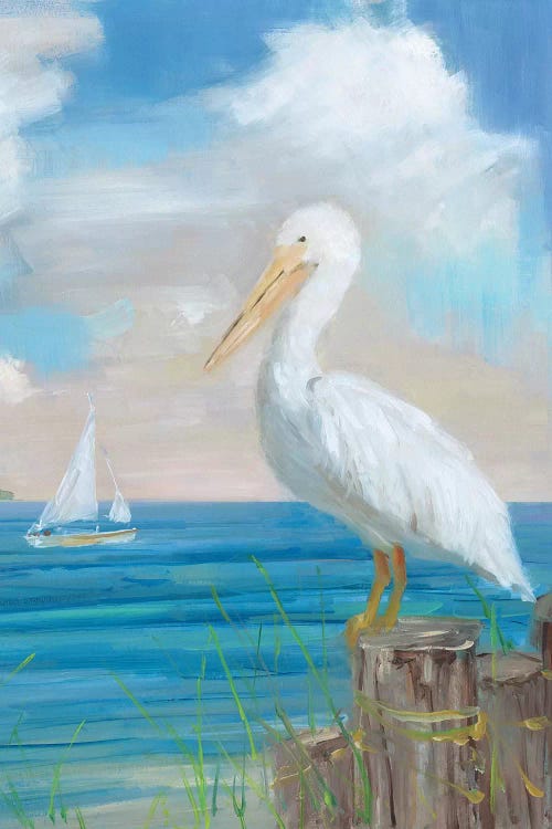 Pelican View II