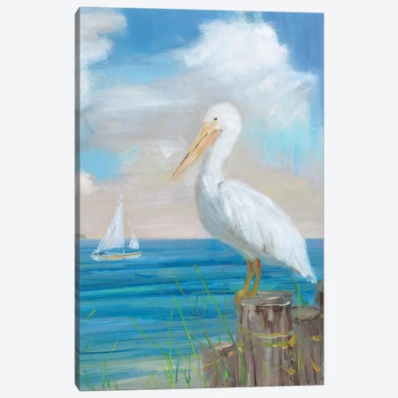 Pelican View II Canvas Print #SWA224} by Sally Swatland Canvas Artwork