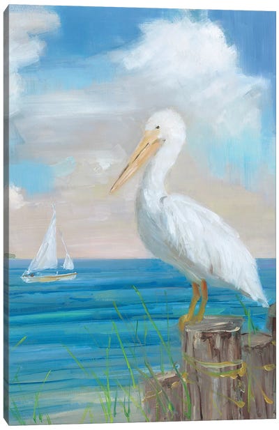 Pelican View II Canvas Art Print - Pelican Art