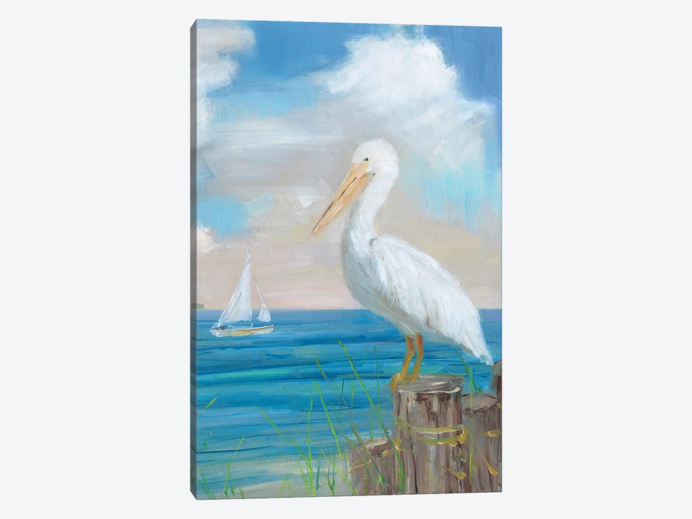 Pelican View II by Sally Swatland 1-piece Canvas Artwork