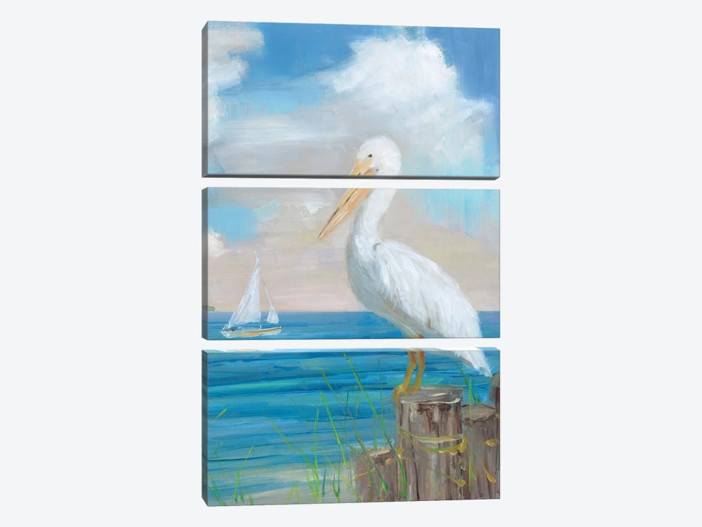 Pelican View II by Sally Swatland 3-piece Canvas Wall Art