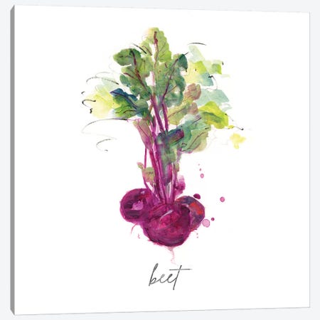 Sketch Kitchen Beet Canvas Print #SWA228} by Sally Swatland Canvas Print