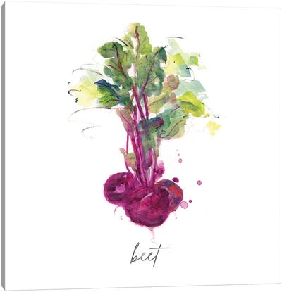 Sketch Kitchen Beet Canvas Art Print - Vegetable Art
