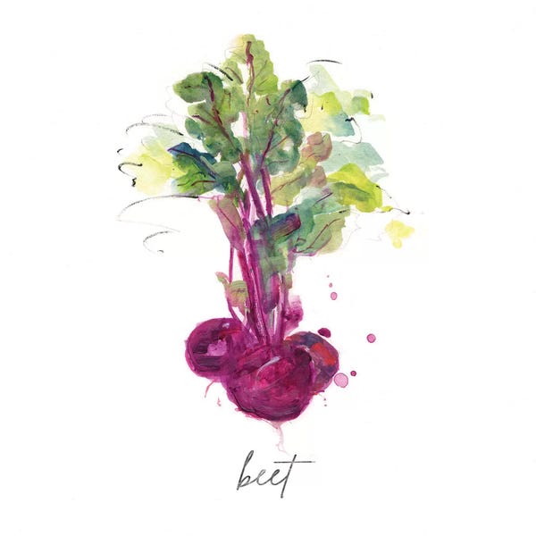 Vegetables: Sketch Kitchen Beet by Sally Swatland