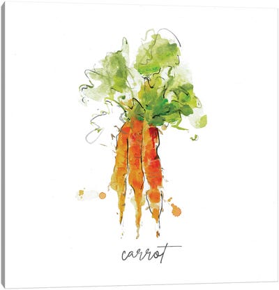 Sketch Kitchen Carrot Canvas Art Print - Vegetable Art