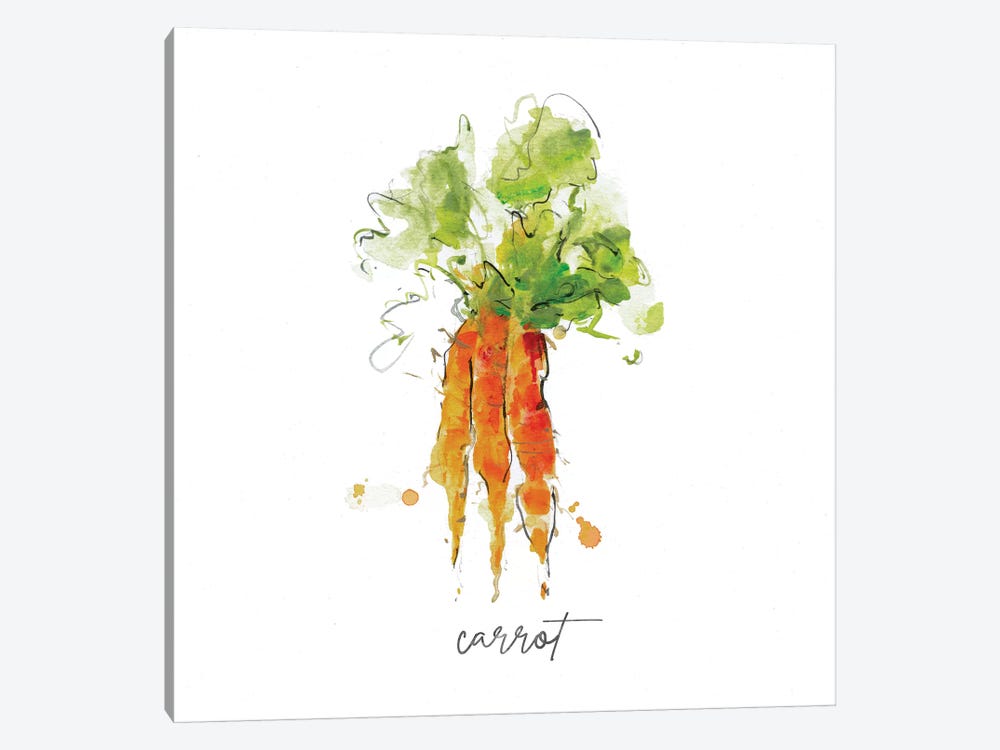 Sketch Kitchen Carrot by Sally Swatland 1-piece Canvas Art Print