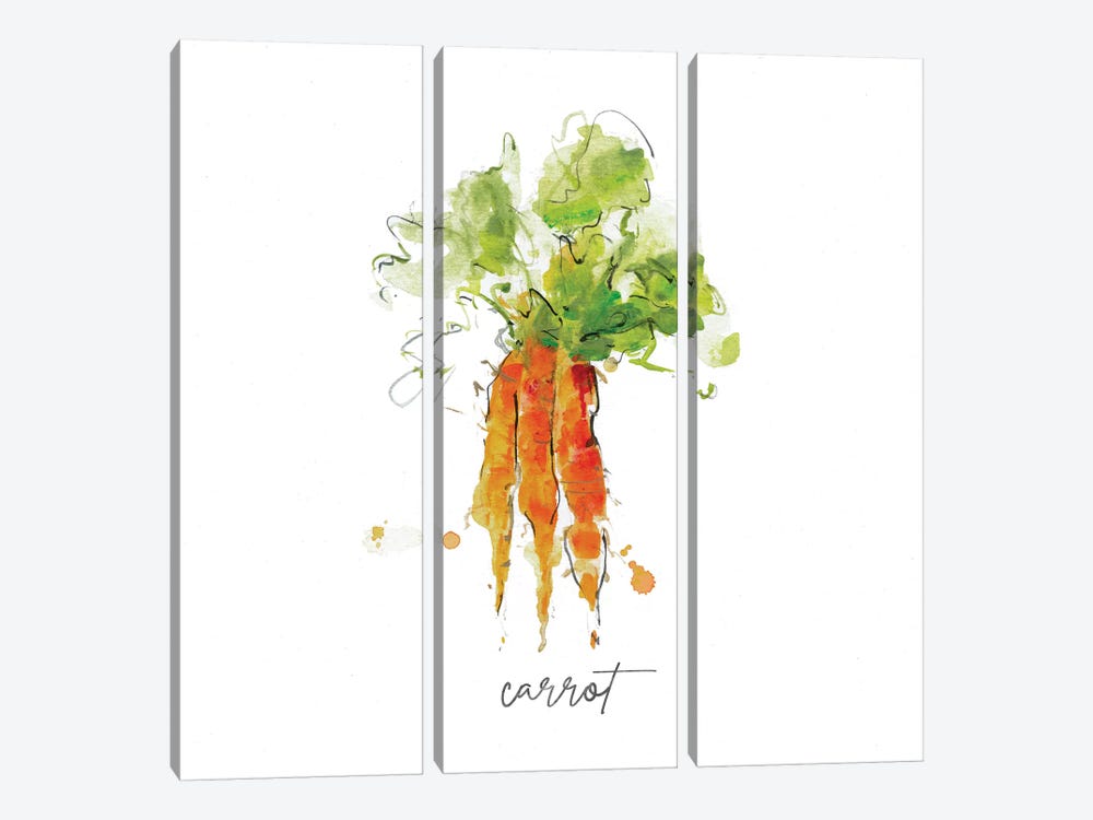 Sketch Kitchen Carrot by Sally Swatland 3-piece Art Print