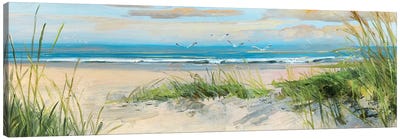 Catching The Wind II Canvas Art Print - Sandy Beach Art