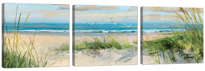 Catching The Wind II Canvas Art Print - 3-Piece Beach Art