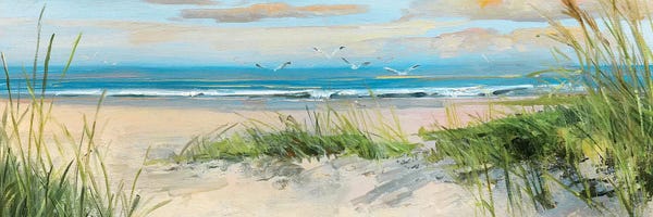 Large Wall Art & Big Canvas Prints: Catching The Wind II by Sally Swatland