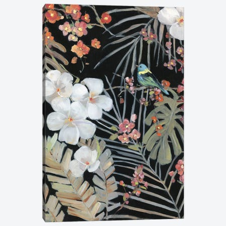 Tropical Midnight II Canvas Print #SWA236} by Sally Swatland Art Print