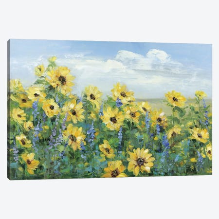 Sunflower Fields Forever Canvas Print #SWA257} by Sally Swatland Art Print