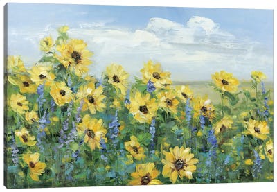 Sunflower Fields Forever Canvas Art Print - Cloud Art