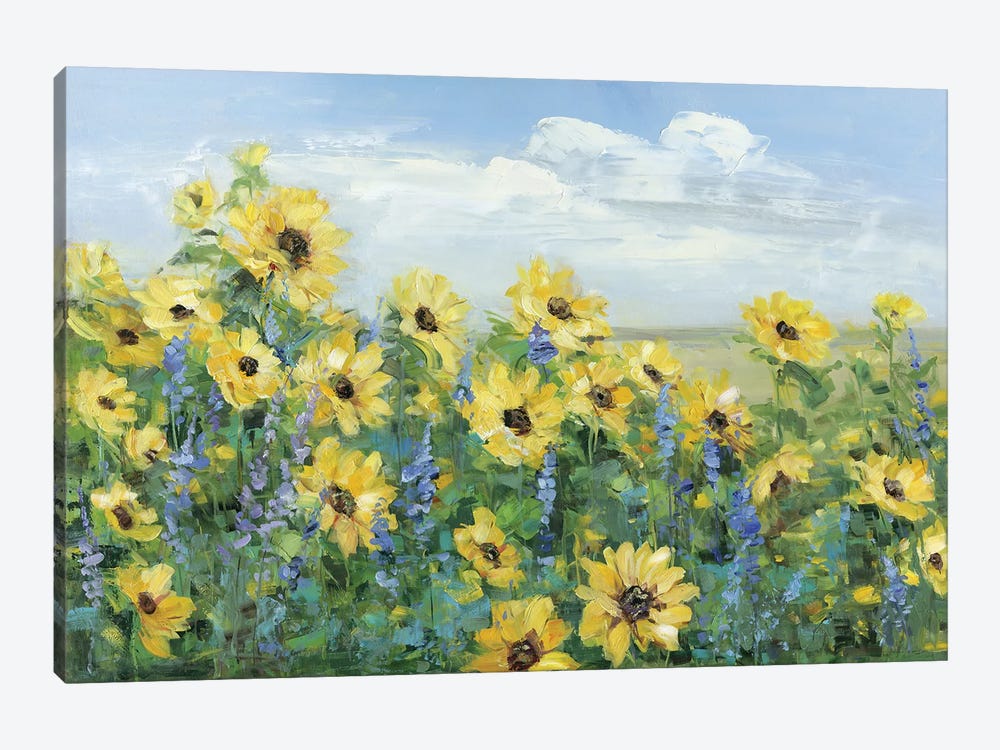 Sunflower Fields Forever by Sally Swatland 1-piece Canvas Wall Art
