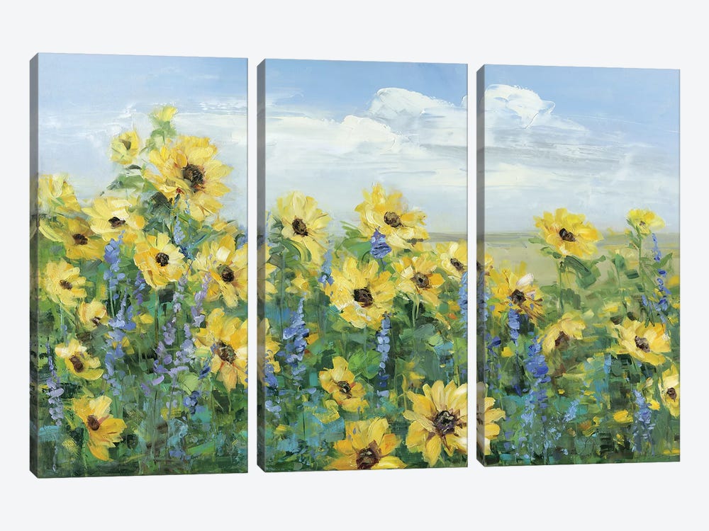 Sunflower Fields Forever by Sally Swatland 3-piece Canvas Art