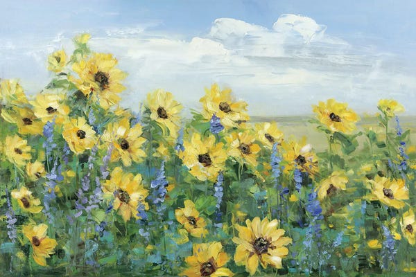Large Floral & Botanical Art - Canvas Prints: Sunflower Fields Forever by Sally Swatland