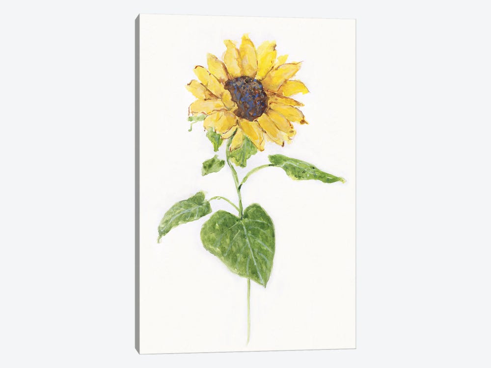 Sunflower I by Sally Swatland 1-piece Art Print