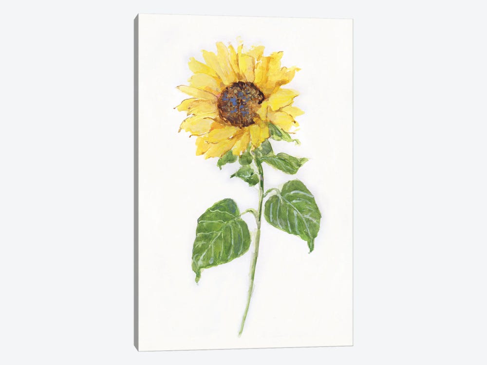Sunflower II by Sally Swatland 1-piece Canvas Art