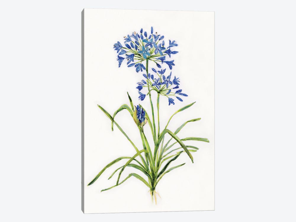 Blue Lively Botanical I by Sally Swatland 1-piece Canvas Art Print