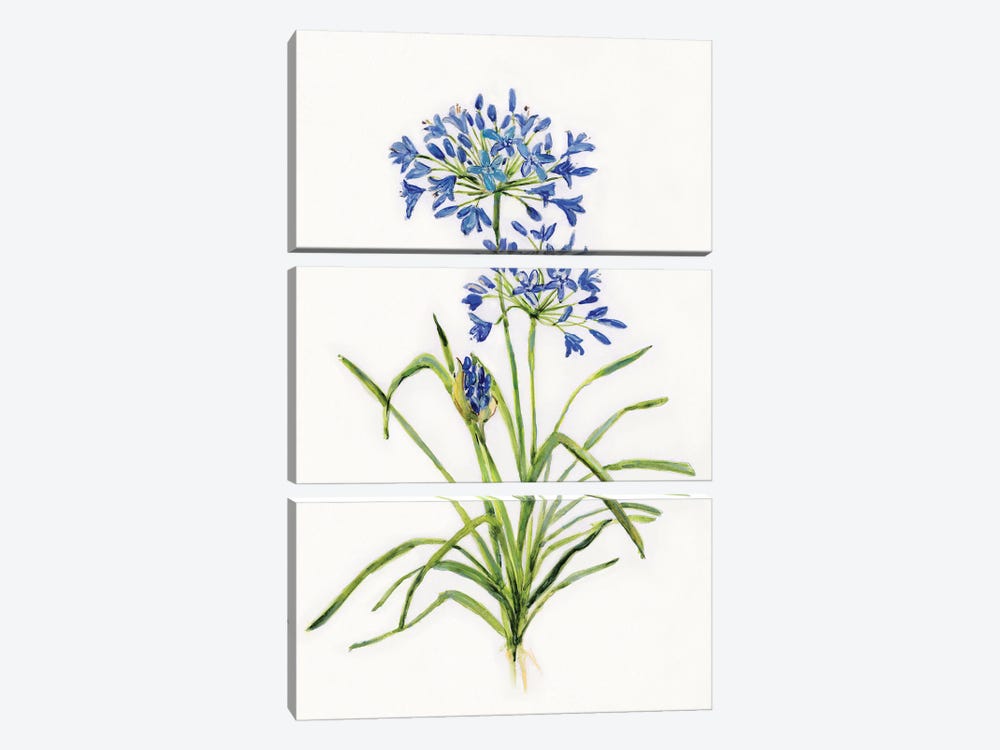 Blue Lively Botanical I by Sally Swatland 3-piece Art Print