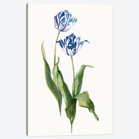 Blue Lively Botanical II Canvas Print #SWA270} by Sally Swatland Canvas Wall Art