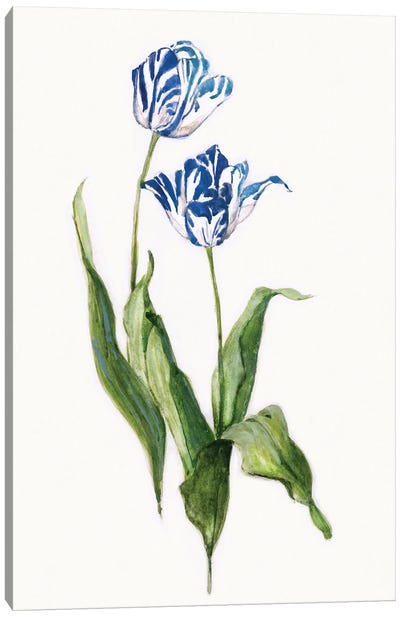 Blue Lively Botanical II Canvas Art Print - Botanical Illustrations
