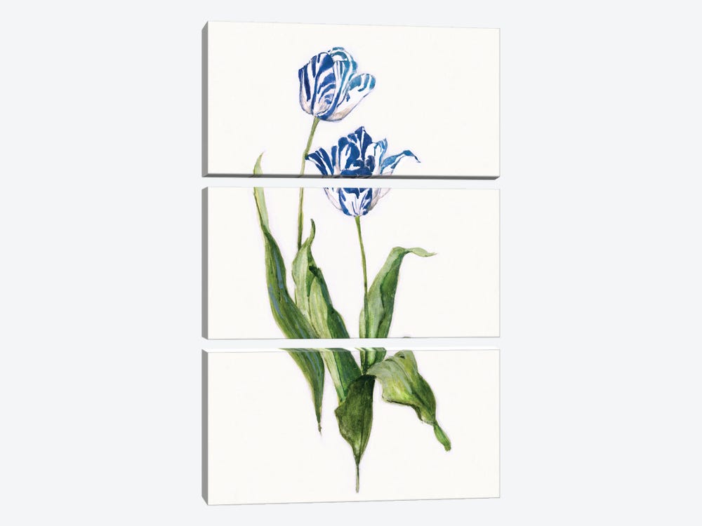 Blue Lively Botanical II by Sally Swatland 3-piece Canvas Print