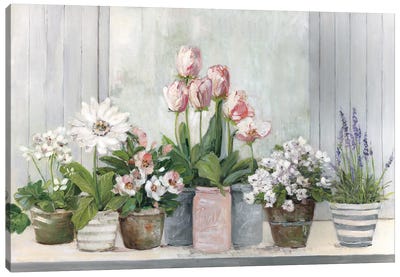 Cottage Grown Canvas Art Print - Tulip Art