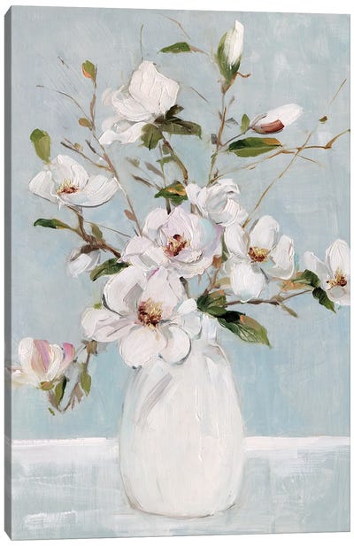 Magnolia Charm Canvas Art Print - Sally Swatland