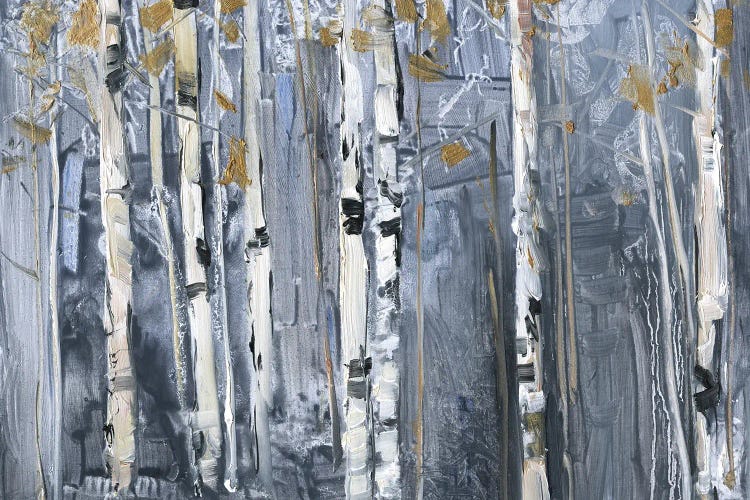 Modern Birch by Sally Swatland wall art