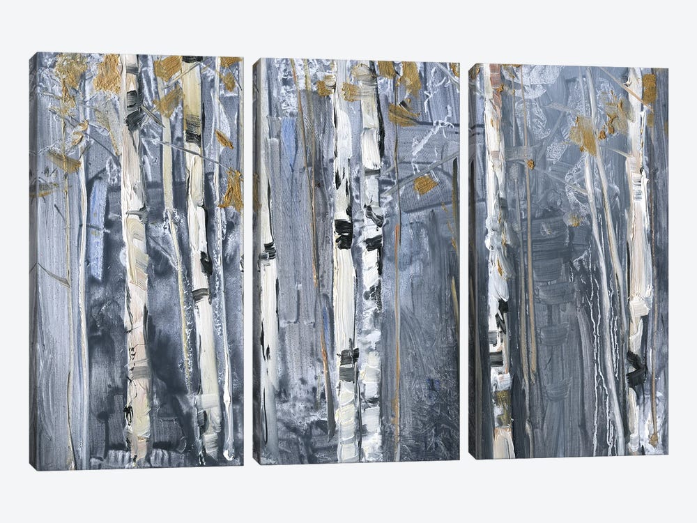 Modern Birch by Sally Swatland 3-piece Canvas Wall Art