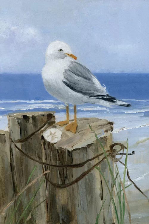 Keeping Watch I by Sally Swatland wall art