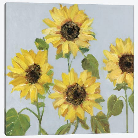 Sunflower Array II Canvas Print #SWA295} by Sally Swatland Art Print