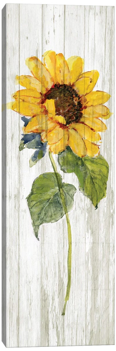 Sunflower in Autumn I Canvas Art Print - Autumn Art