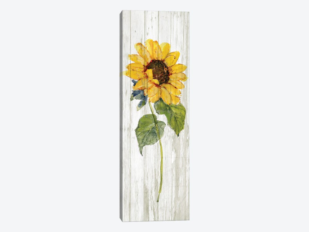 Sunflower in Autumn I by Sally Swatland 1-piece Canvas Print