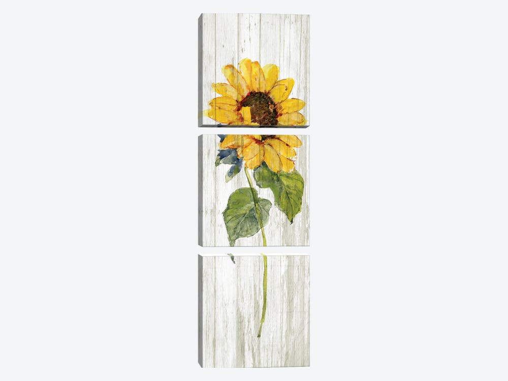Sunflower in Autumn I by Sally Swatland 3-piece Art Print