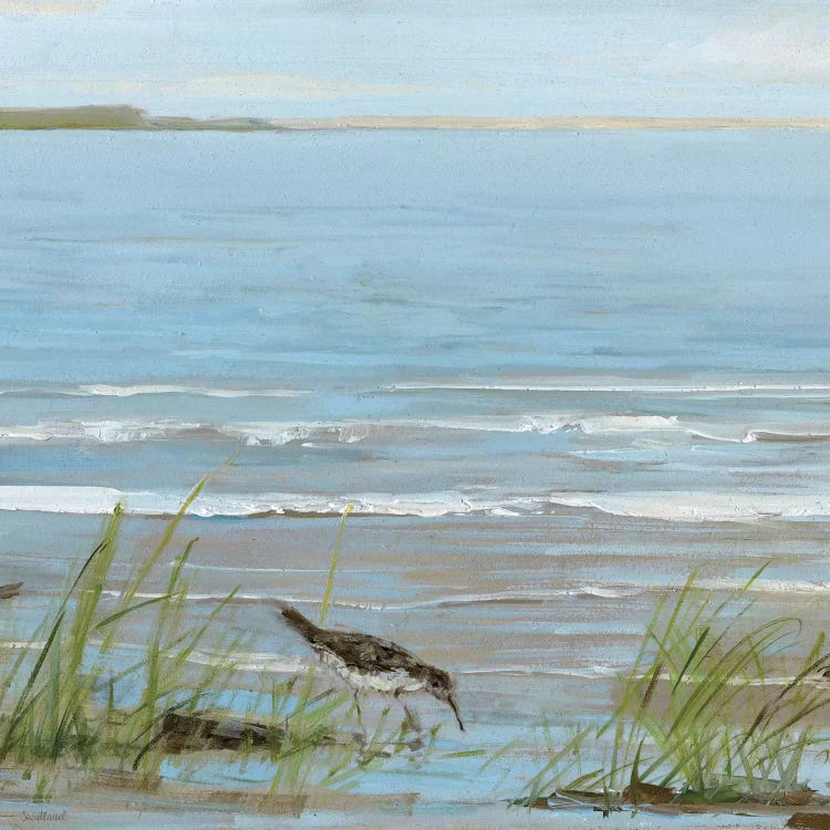 Afternoon On The Shore II by Sally Swatland wall art
