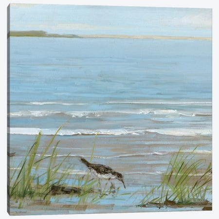 Afternoon On The Shore II Canvas Print #SWA2} by Sally Swatland Canvas Wall Art